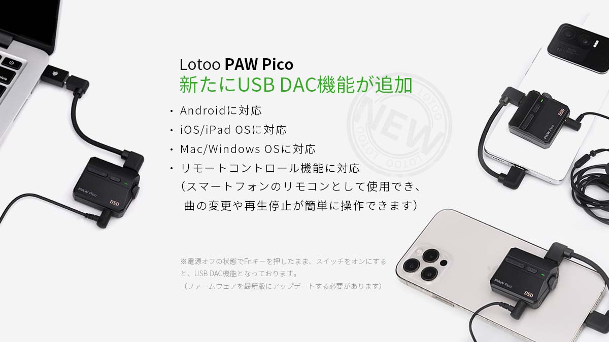 Lotoo PAW Pico JP Edition | TOP WING Corp.