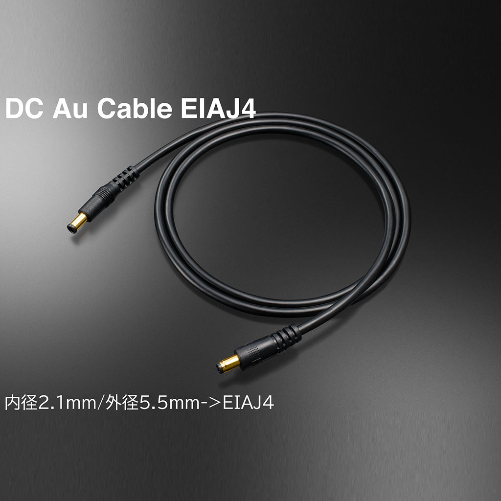 DC Au Cable - TOP WING Corporation